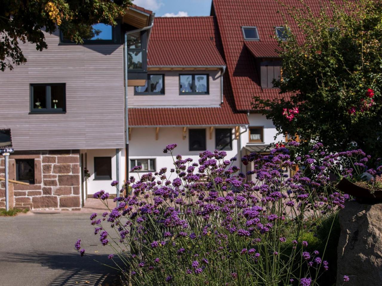 Saunaloft Schwarzwald Gemeinde Gemeinde Aichhalden Exteriér fotografie