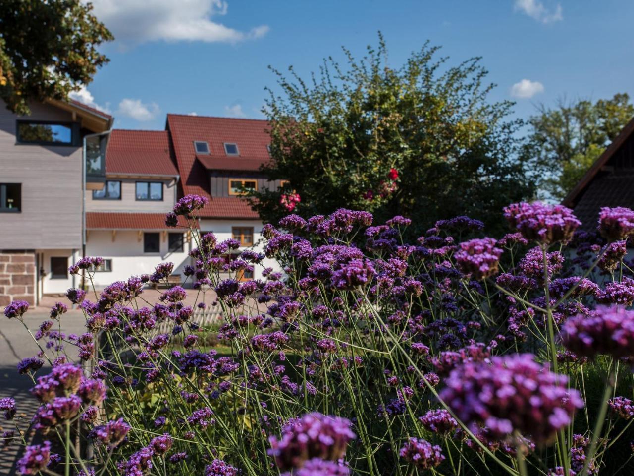 Saunaloft Schwarzwald Gemeinde Gemeinde Aichhalden Exteriér fotografie