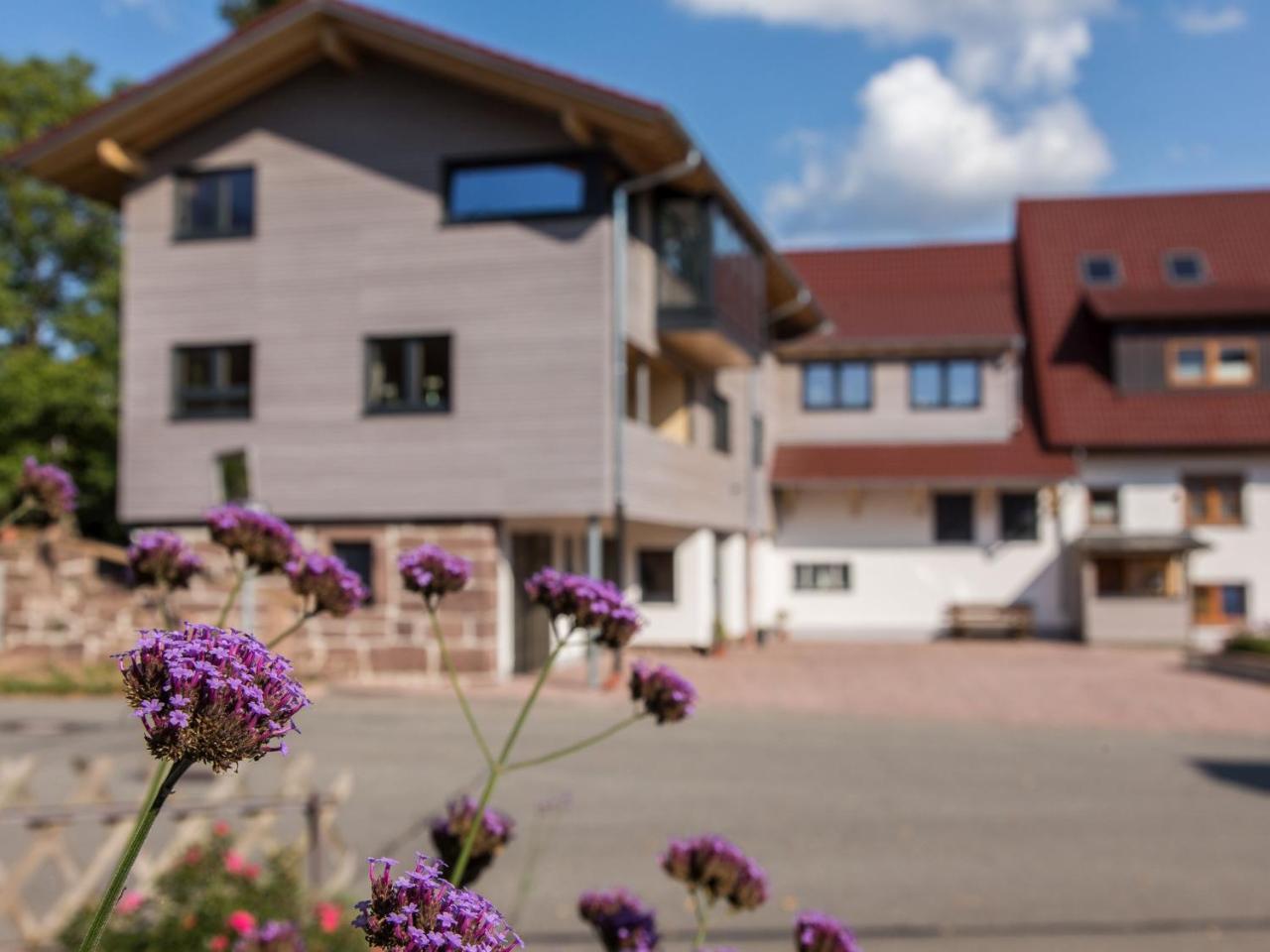Saunaloft Schwarzwald Gemeinde Gemeinde Aichhalden Exteriér fotografie